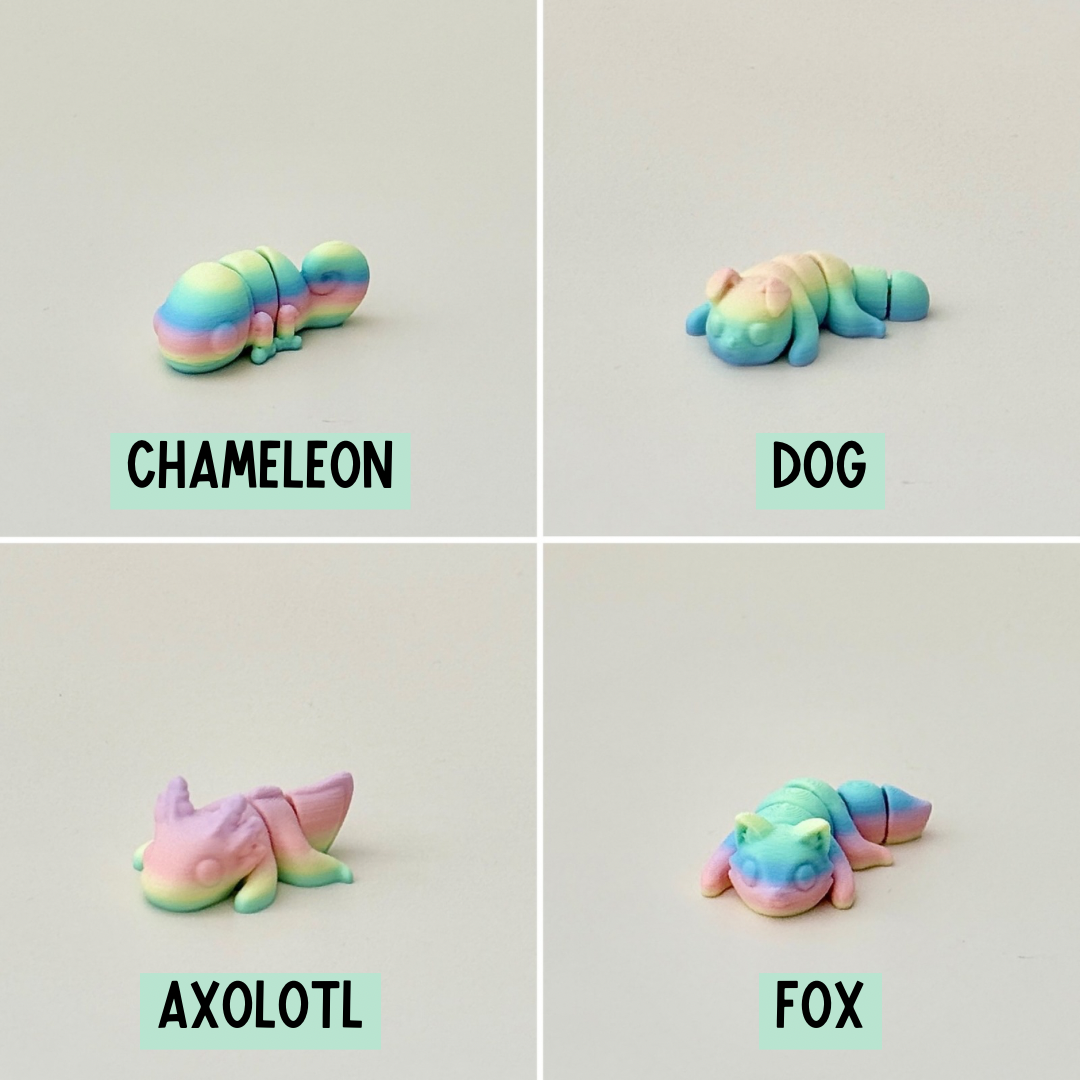 Rainbow mini pet fidget toy, ideal for collecting, with fully movable parts for fidgeting fun.

